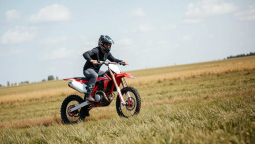 Питбайк YCF 190 и Daytona 190: сравнение. Какой выбрать и где купить?