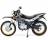 Мотоцикл Regulmoto SK 250GY-5 (Черный, , 100007-1) MSD