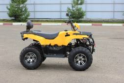 Квадроцикл IRBIS ATV 200 PREMIUM (Желтый) MSD