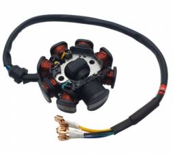 Статор генератора 169FMM (CB250) Sport001-006 +