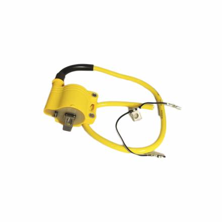 Катушка зажигания NIBBI 172FMM/170MM-3/174MN