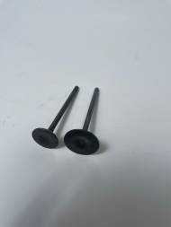 Клапаны CG200 (D=31/L=90; D=26/L=89) (пара)