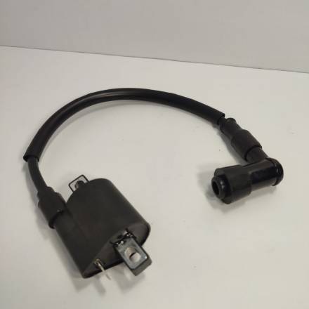 Катушка зажигания Hasky F5