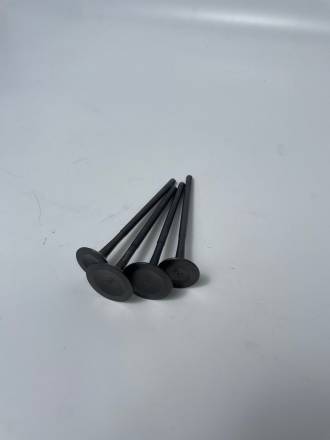 Клапаны ZS177MM NC250 (D=28/L=100; D=24/L=100) (ком/4шт) (оригинал)